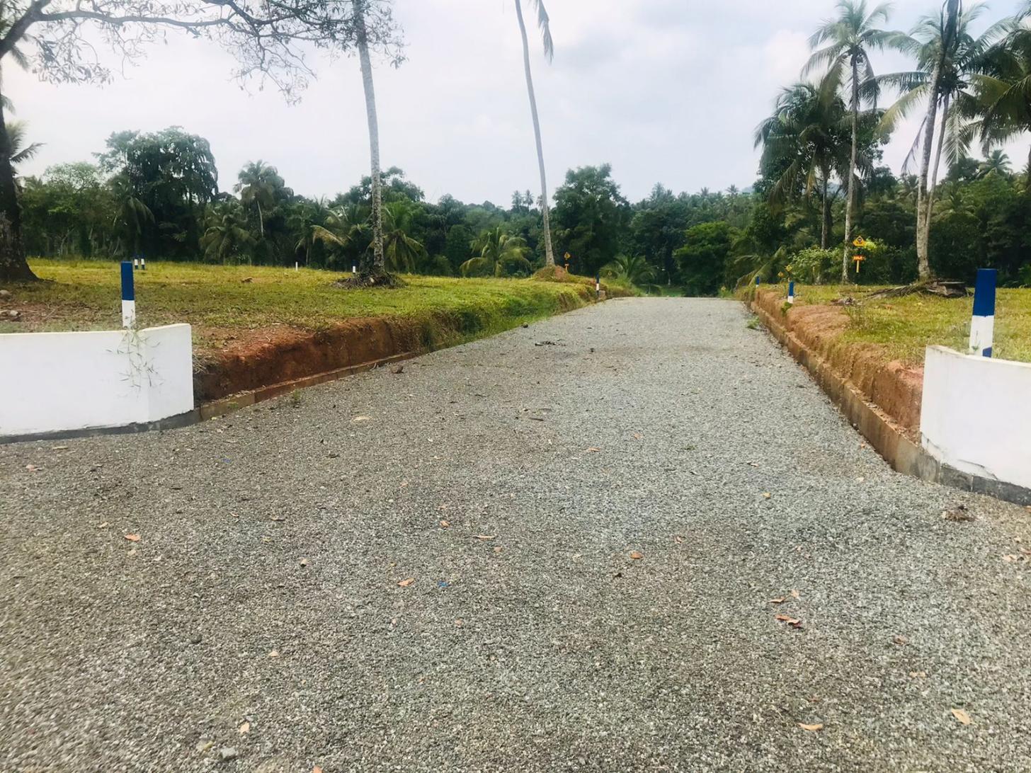 ගම්පහ කිරිදිවැල  231 
